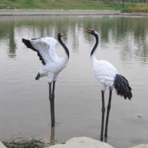 두루미 학모형 장식 FRP조형물 연못 백조 모형 새, 키 105cm G 섹션  대