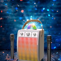 MDO1329 엠지텍 락클래식 디스코 (엠지텍/락클래식디스코/휴대용노래방/휴대용스피커)