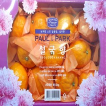 가락시장 토박이유통 제주 설국향 1.5kg 프리미엄 감귤 신품종 7-11과 랜덤