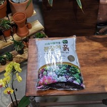 다육이 선인장 분재 분갈이용 배양토 4.5kg 상추키우기 베란다식물 트레이