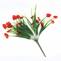 인테리어 조화 안스리움 안수리움 안시룸 안시륨 레드