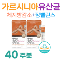 다이어트 유산균 하루 1포 30대 여성 직장인 회사원 다이어트 프로바이오틱스 가르시니아 유산균 체지방 감소 배변 활동 원활 도움 홈쇼핑 프리미엄 영양제 성분 가격 효능 비교, 40 주분, 3000mg x 28포 (하루1포)