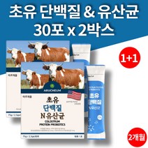 초유 단백질 분말 타서 마시는 초유 프로틴 스틱 유아단백질 면역글로불린 락토페린 비타민A D E 락토바실러스 불가리쿠스 람노서스 파라카제이 2박스 60포 대용량
