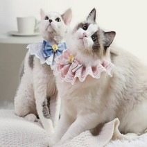 강아지 고양이 레이스 스카프 케이프 턱받이 목도리 반다나, L, 옐로우 카키