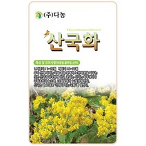 자운영 2g - 야생화 씨앗 꽃씨 씨 꽃씨앗 자운영씨앗 자운영씨 다년생 여러해살이 야생화씨앗 꽃 연화초 홍화채 쇄미제 야화생, 29_다농_산국화(6000립)