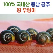 청정 공주 왕 논 우렁이 살 1kg, 급냉_왕우렁이살 1kg
