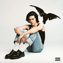 코난 그레이 Conan Gray Kid Krow LP 음반 바이닐 레코드 앨범