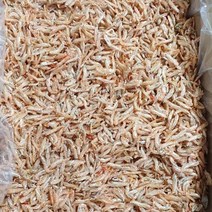 [인생건어물]보리새우 1KG, 1개