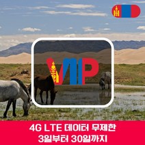 VIP 몽골 4G LTE 포켓 와이파이 매일 1GB 후 저속 국내공항 수령, 매일 1GB 후 저속 1일/김포공항