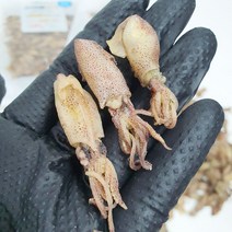 완도 금복식품 마른 꼴뚜기 200g 맛있는 아이들반찬 술안주 청정해역, 건꼴뚜기(중)200g