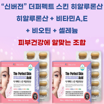 피부건강 탄력 관리 더 퍼펙트 스킨 히알루론산 700mg x 60캡슐 네추럴라이즈, 1개, 60정