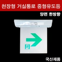 천장형 거실통로 중형유도등 양면 한방 현대방재, 1개