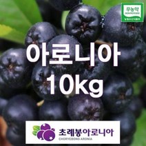 23년 유기농 자연초생재배 초례봉아로니아냉동생과열매 상급 10kg(꼭지제거) / 농장 직배송