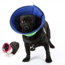 강아지넥카라 매쉬 중성화 목카라 긁기 방지 꼬깔, 로얄 블루, 1호(목둘레14-21cm)