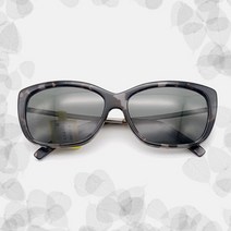 로덴스톡 J3003 L 오버사이즈 독일명품선글라스 RODENSTOCK