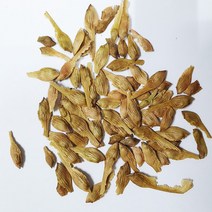 참꽃단풍(루브룸단풍)10g(300립), 1개