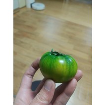 대저짭짤이토마토 짭짜리 짭잘이 완숙 토망고 방울 망고토마토 부산 2.5kg 못난이, 대저짭짤이토마토2.5kg