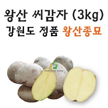 [강원도 정품 왕산종묘] 두백 씨감자 3kg 찐감자 쪄먹는 감자 분감자 두백 왕산 감자씨 햇감자, 두백(왕산종묘 분감자 쪄먹는감자) 3kg