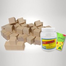 (가베가족)KS0134 큰솔3cm원목쌓기나무100p+미니북+통/(1397607)