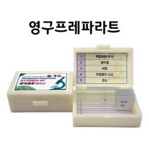 영구프레파라트-생식세포(5pcs)-DSN