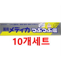 일본 선스타 썬스타 치약 소금치약 츠부츠부시오 치약 170g 10개 세트