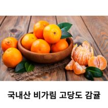 국내산 신선한 제주 감귤 비가림귤 500g 1kg 국산 비가림 하우스 감귤 당도 높은 타이벡 불로초 감귤 노지 감귤
