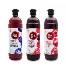 홍초900ml 홍초 청정원 식초음료 숙성발효초 석류 블루베리 복분자 1.5L, 홍초복분자1.5L, 본상품선택