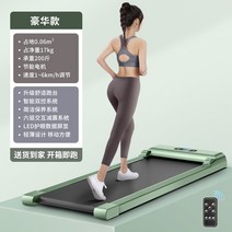런닝머신 이동식런닝머신 전신운동기구 홈트운동기구 실내운동, 실버리프그린-럭셔리모델+6륜구동충격흡수+