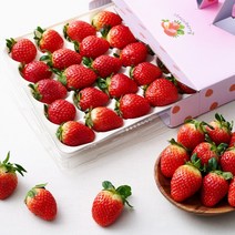 [백화점용/특급포장] 13brix 논산 설향 장희 딸기 특상품 750g 1.5kg, 1. 백화점용/특급포장 13brix 딸기 750g, 1팩
