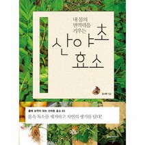 산야초 효소 내 몸의 면역력을 키우는, 상품명