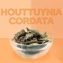 열린약초 국내산 어성초, 600g, 1팩