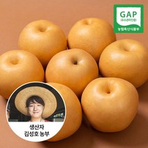 [신선연구소]GAP인증 23년 나주 햇배 가정용 5kg 6-10과, 1개