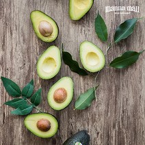 [만나몰] 멕시코 아보카도 24과 1박스 5.5kg