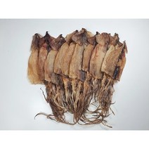 파품건오징어 500g 대용량, 1개
