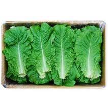 잎로메인 상추 박스판매 1.8kg~2kg 도매가격 가락시장 직송, 잎로메인 1박스