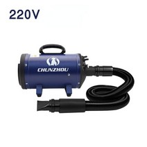 애견 블로어 송풍기 저소음 대형견 털말리기 에어탱크, A.블루 220V