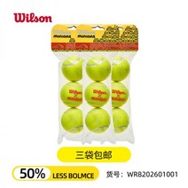 윌슨 공 챔피언십 테니스볼 엑스트라 롤랑가로스 듀티 US오픈 테니스공 챔피언쉽 투어, 11