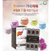 여자 밀크씨슬 비타민 간건강 밀크시스 밀크씨유 술 음주 남자 남성