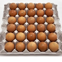 HACCP 인증 맥반석 구운계란 90구 (중란), 단품