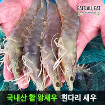 이츠올릿 국내산 활 흰다리 새우 대하 1kg 28-30미 특사이즈 생 왕새우, 상세페이지 참조