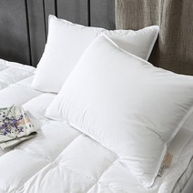 [도아드림]구스 이중구조베개(중간형), 단일속성