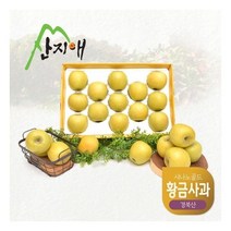 산지애 씻어나온 황금사과 3kg x 1박스 (시나노골드)