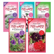 야생화씨앗 수입꽃 100선 가든엔씨앗 톱풀파스텔 배초향 알케밀라 제비고깔 수레국화 제라늄, 풍접초 화이트퀸