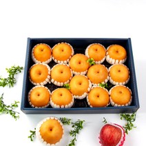 [익산원예농협] 정성을 가득담은 배 선물세트 7.5kg(13-15과)