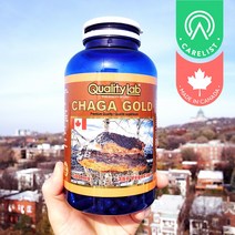 QUALITY LAB (퀄리티랩) Qualitylab Chaga Gold, 360캡슐