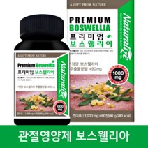 보스웰리아효능 파는곳 캡슐 무릎관절연골영양제 2세대보스웰리아 보수엘리아 복합추출물 akba+kba 보스웰릭산 복용법 캡슐 60정 2달분