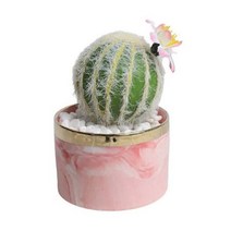 [ Top 100] 인조 꽃선인장 조화 미니화분 장식소품