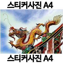 A430-7/스티커사진 A4 황룡사진 청룡그림 용그림 방수라벨지 실사코팅 핸드폰사진인화 프린트할수있는곳 사진인쇄 사진출력 인쇄출력, 다른사진은메지시및문자와이메일요, 1개