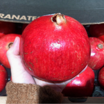 생 석류 생과 5kg 2.5kg 수입 석류생과일, 2.5kg 대과(5-6과내외)