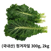 청겨자잎 300g 2kg 국내산 산지직송 겨자잎 생겨자잎 쌈채소 청 청겨자 모듬쌈채소 유럽샐러드 샐러드채소 엽채류 쌈채 구이용쌈, 1box